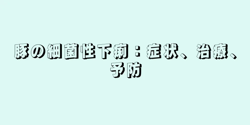 豚の細菌性下痢：症状、治療、予防