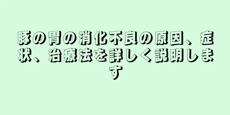 豚の胃の消化不良の原因、症状、治療法を詳しく説明します