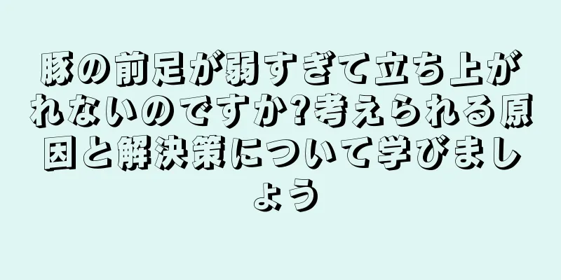 豚の前足が弱すぎて立ち上がれないのですか?考えられる原因と解決策について学びましょう