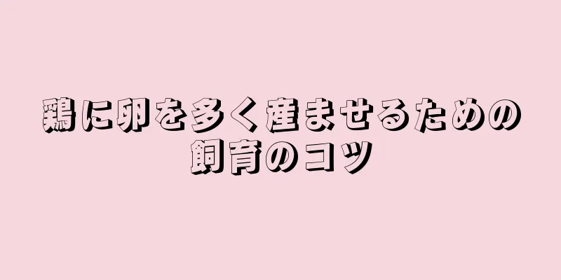 鶏に卵を多く産ませるための飼育のコツ
