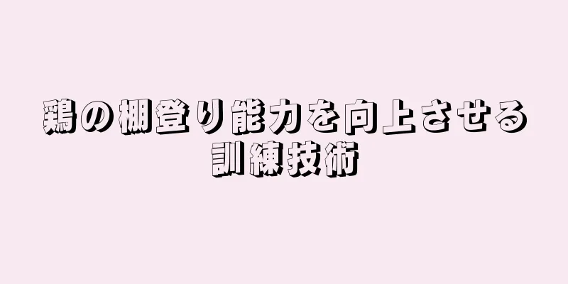 鶏の棚登り能力を向上させる訓練技術