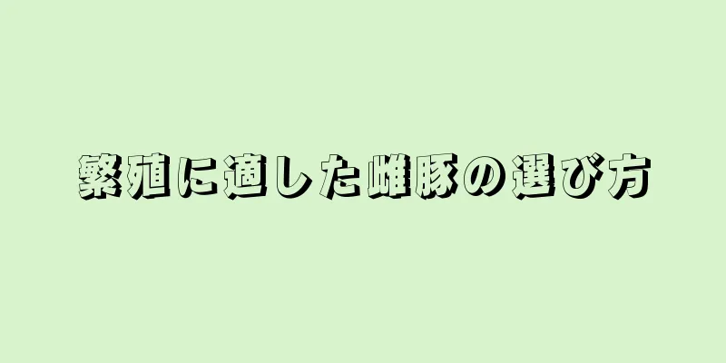 繁殖に適した雌豚の選び方
