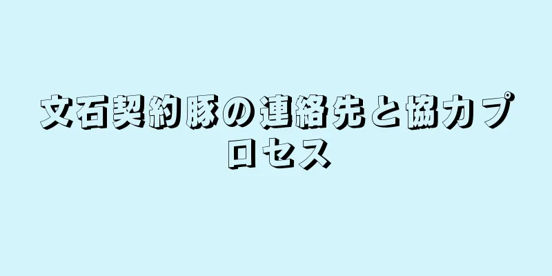 文石契約豚の連絡先と協力プロセス