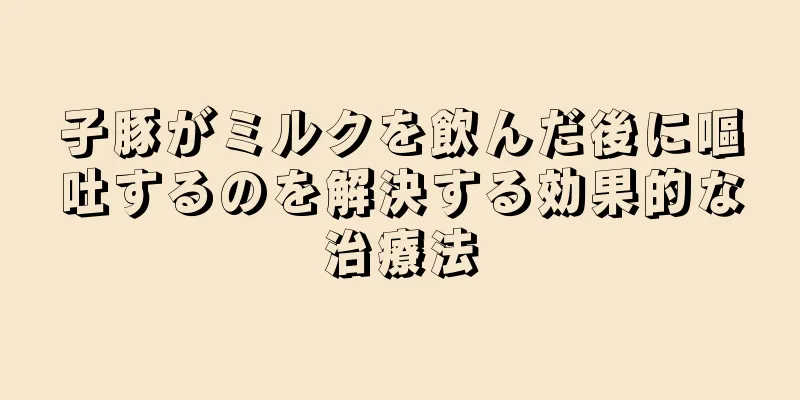 子豚がミルクを飲んだ後に嘔吐するのを解決する効果的な治療法