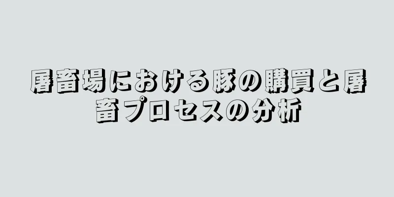 屠畜場における豚の購買と屠畜プロセスの分析