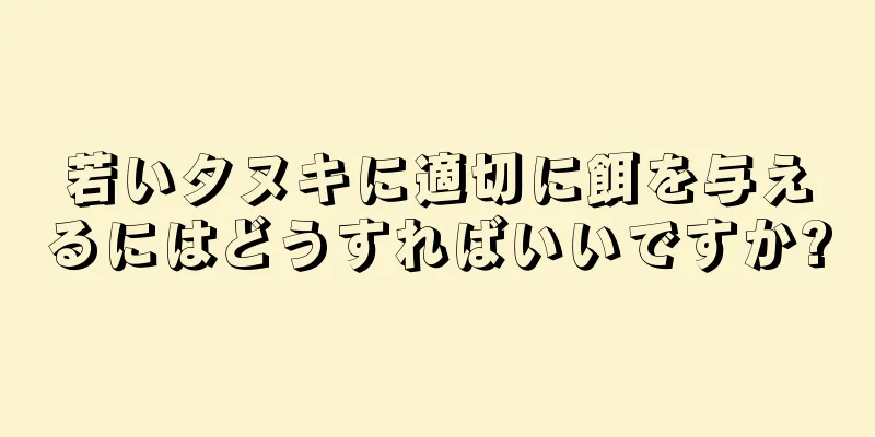 若いタヌキに適切に餌を与えるにはどうすればいいですか?
