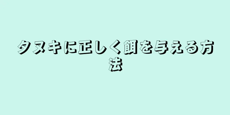タヌキに正しく餌を与える方法