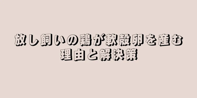 放し飼いの鶏が軟殻卵を産む理由と解決策