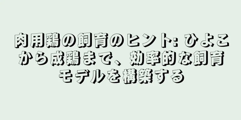 肉用鶏の飼育のヒント: ひよこから成鶏まで、効率的な飼育モデルを構築する