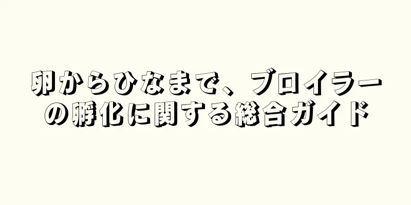 卵からひなまで、ブロイラーの孵化に関する総合ガイド
