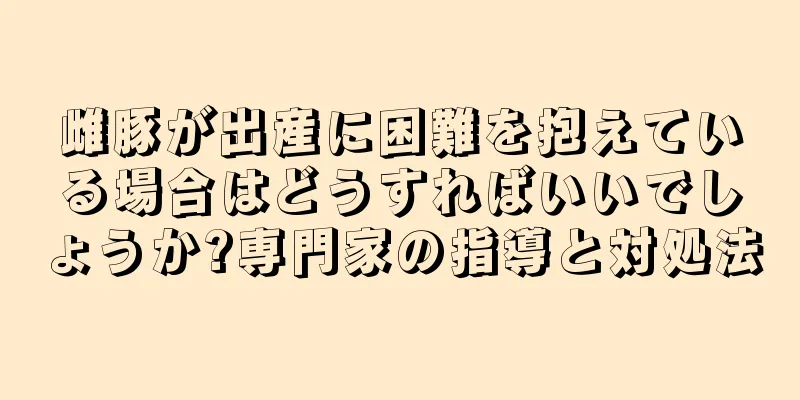 雌豚が出産に困難を抱えている場合はどうすればいいでしょうか?専門家の指導と対処法