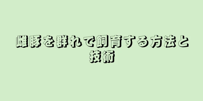 雌豚を群れで飼育する方法と技術