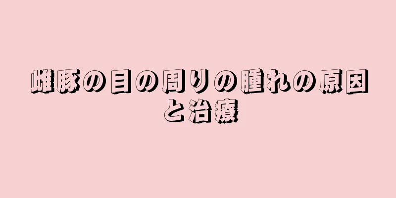 雌豚の目の周りの腫れの原因と治療