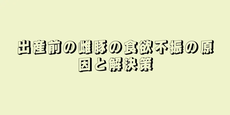 出産前の雌豚の食欲不振の原因と解決策