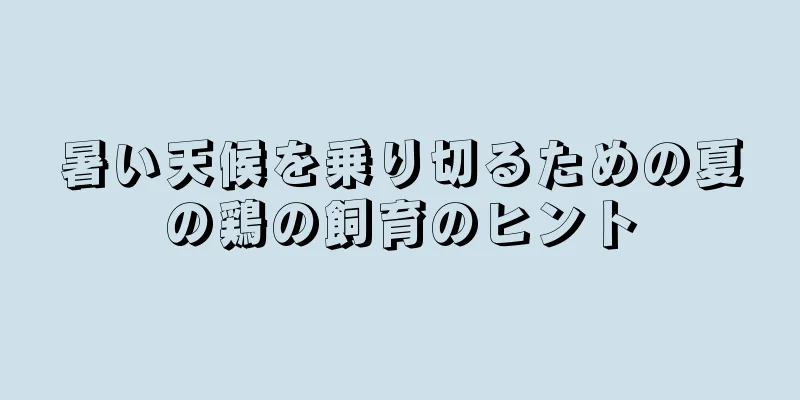 暑い天候を乗り切るための夏の鶏の飼育のヒント