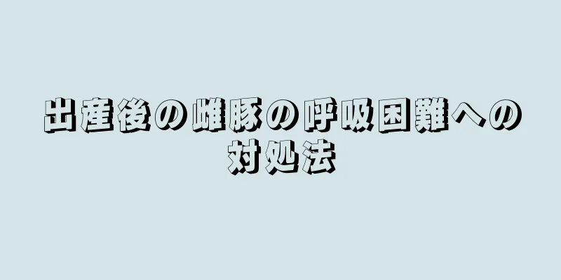 出産後の雌豚の呼吸困難への対処法