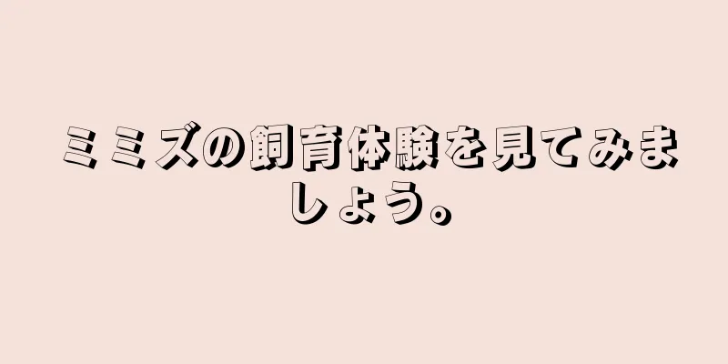 ミミズの飼育体験を見てみましょう。