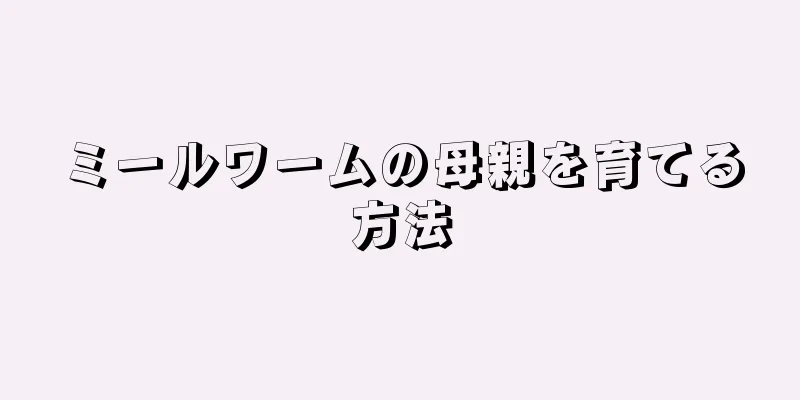 ミールワームの母親を育てる方法