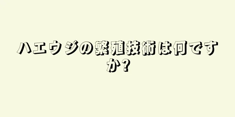 ハエウジの繁殖技術は何ですか?