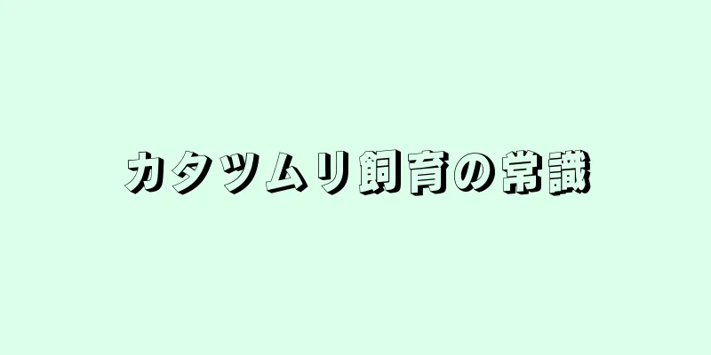 カタツムリ飼育の常識