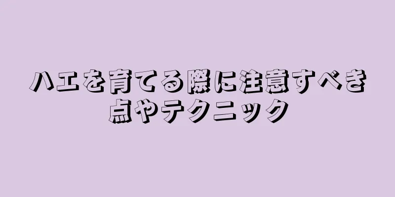ハエを育てる際に注意すべき点やテクニック