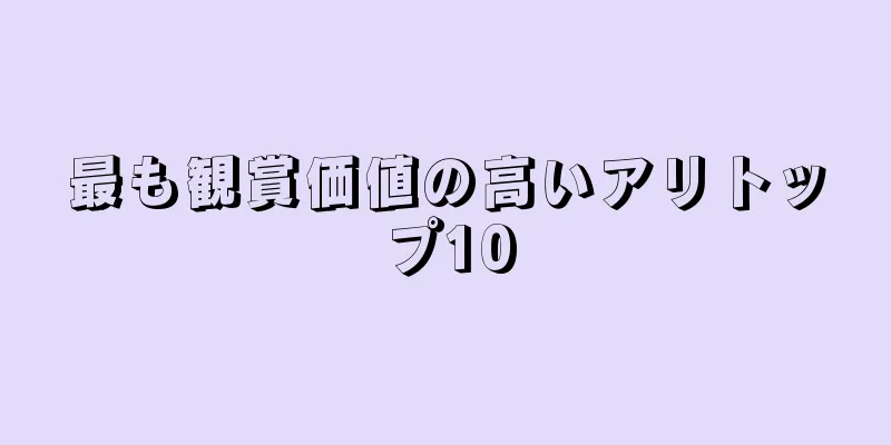 最も観賞価値の高いアリトップ10