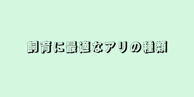 飼育に最適なアリの種類