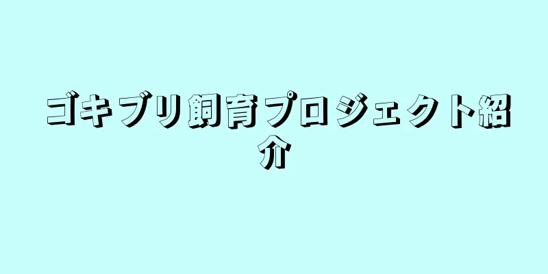 ゴキブリ飼育プロジェクト紹介