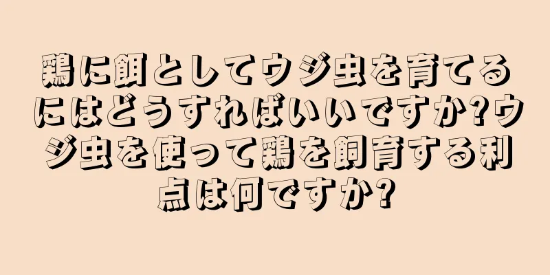鶏に餌としてウジ虫を育てるにはどうすればいいですか?ウジ虫を使って鶏を飼育する利点は何ですか?