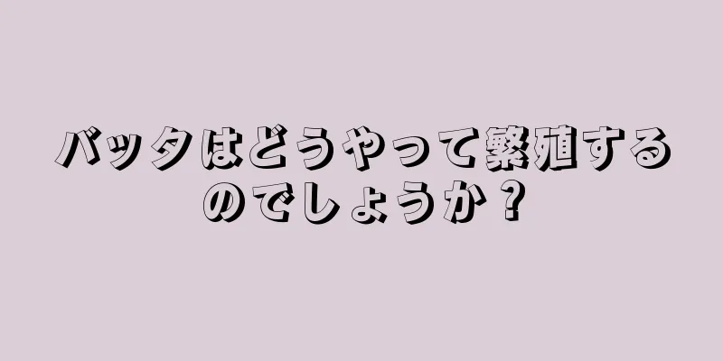 バッタはどうやって繁殖するのでしょうか？
