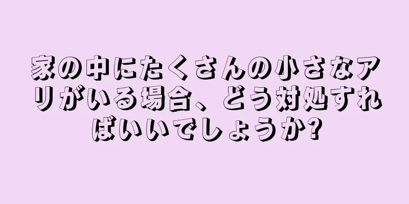 家の中にたくさんの小さなアリがいる場合、どう対処すればいいでしょうか?
