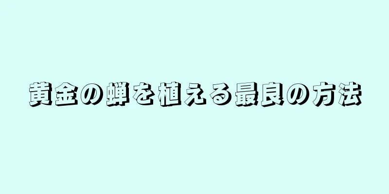 黄金の蝉を植える最良の方法