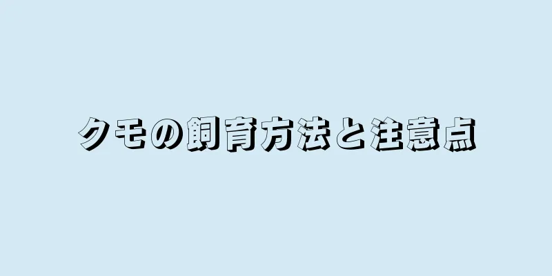 クモの飼育方法と注意点