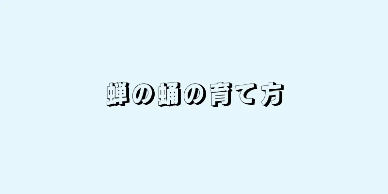 蝉の蛹の育て方