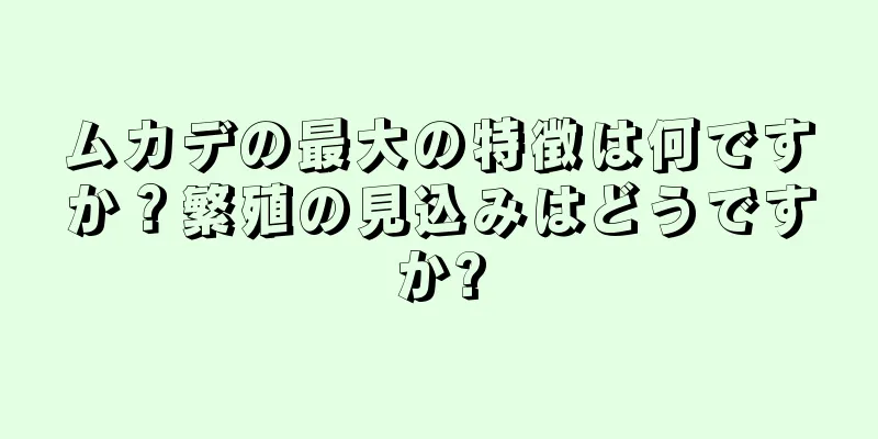 ムカデの最大の特徴は何ですか？繁殖の見込みはどうですか?