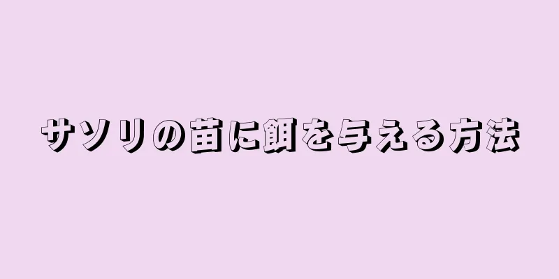 サソリの苗に餌を与える方法