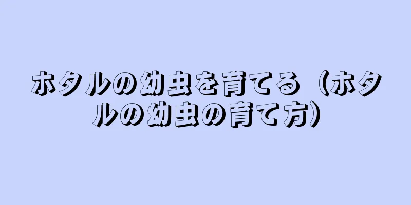 ホタルの幼虫を育てる（ホタルの幼虫の育て方）