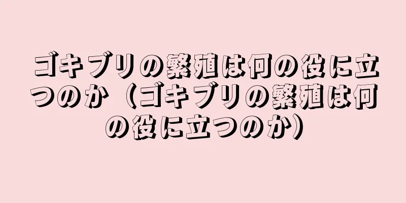 ゴキブリの繁殖は何の役に立つのか（ゴキブリの繁殖は何の役に立つのか）