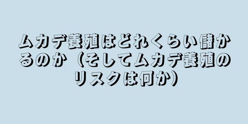 ムカデ養殖はどれくらい儲かるのか（そしてムカデ養殖のリスクは何か）