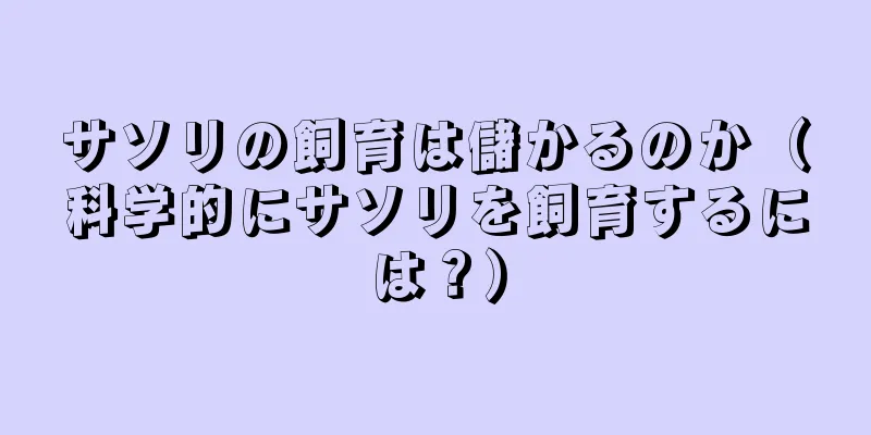 サソリの飼育は儲かるのか（科学的にサソリを飼育するには？）
