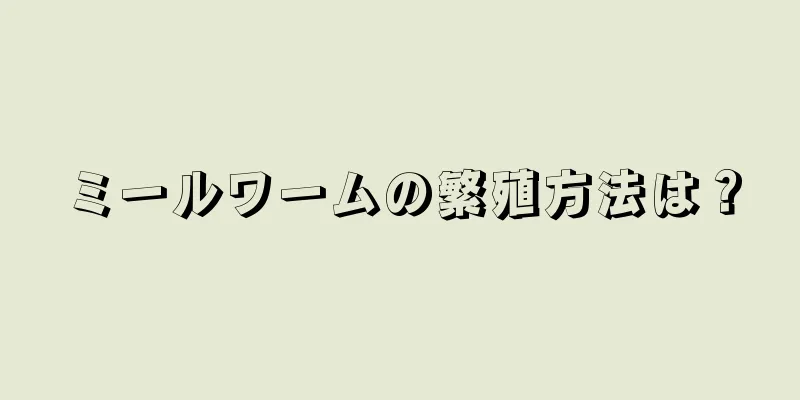 ミールワームの繁殖方法は？