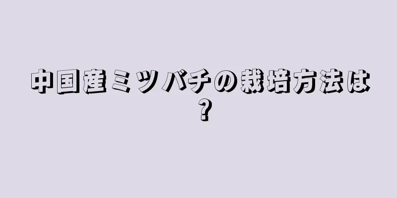 中国産ミツバチの栽培方法は？