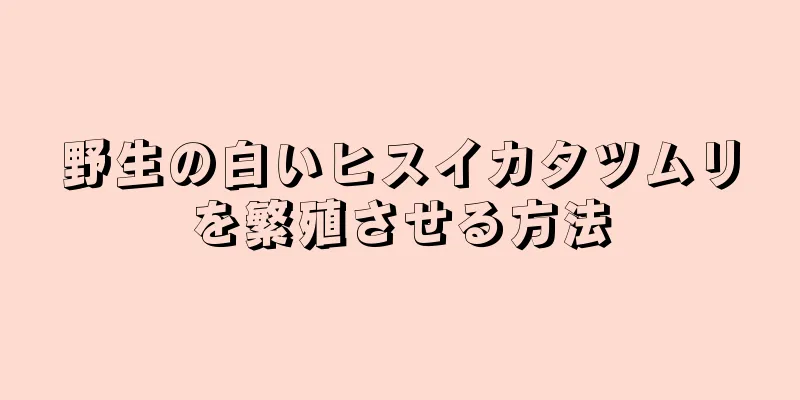 野生の白いヒスイカタツムリを繁殖させる方法