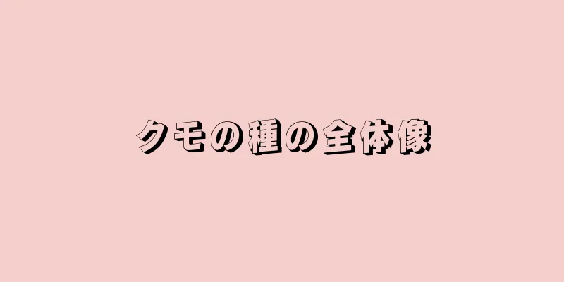 クモの種の全体像