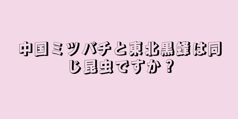 中国ミツバチと東北黒蜂は同じ昆虫ですか？