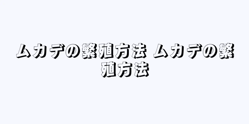 ムカデの繁殖方法 ムカデの繁殖方法