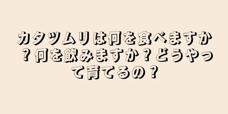 カタツムリは何を食べますか？何を飲みますか？どうやって育てるの？