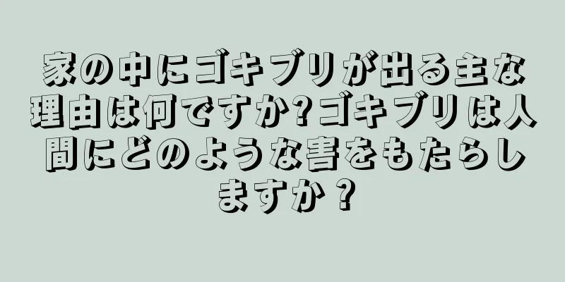 家の中にゴキブリが出る主な理由は何ですか?ゴキブリは人間にどのような害をもたらしますか？