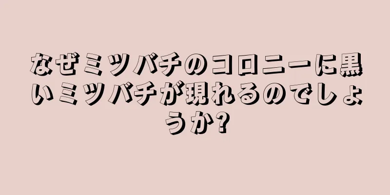 なぜミツバチのコロニーに黒いミツバチが現れるのでしょうか?