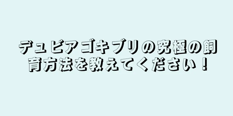 デュビアゴキブリの究極の飼育方法を教えてください！